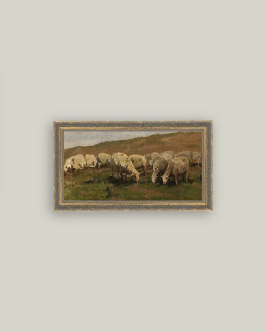 Sheep Landscape