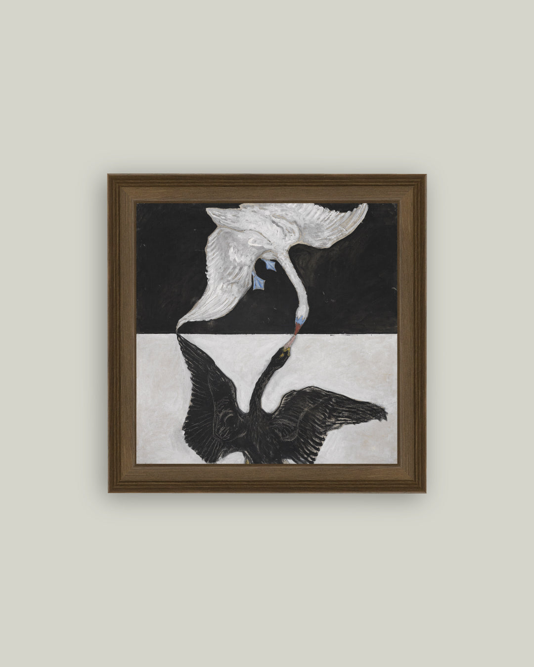 The Swan