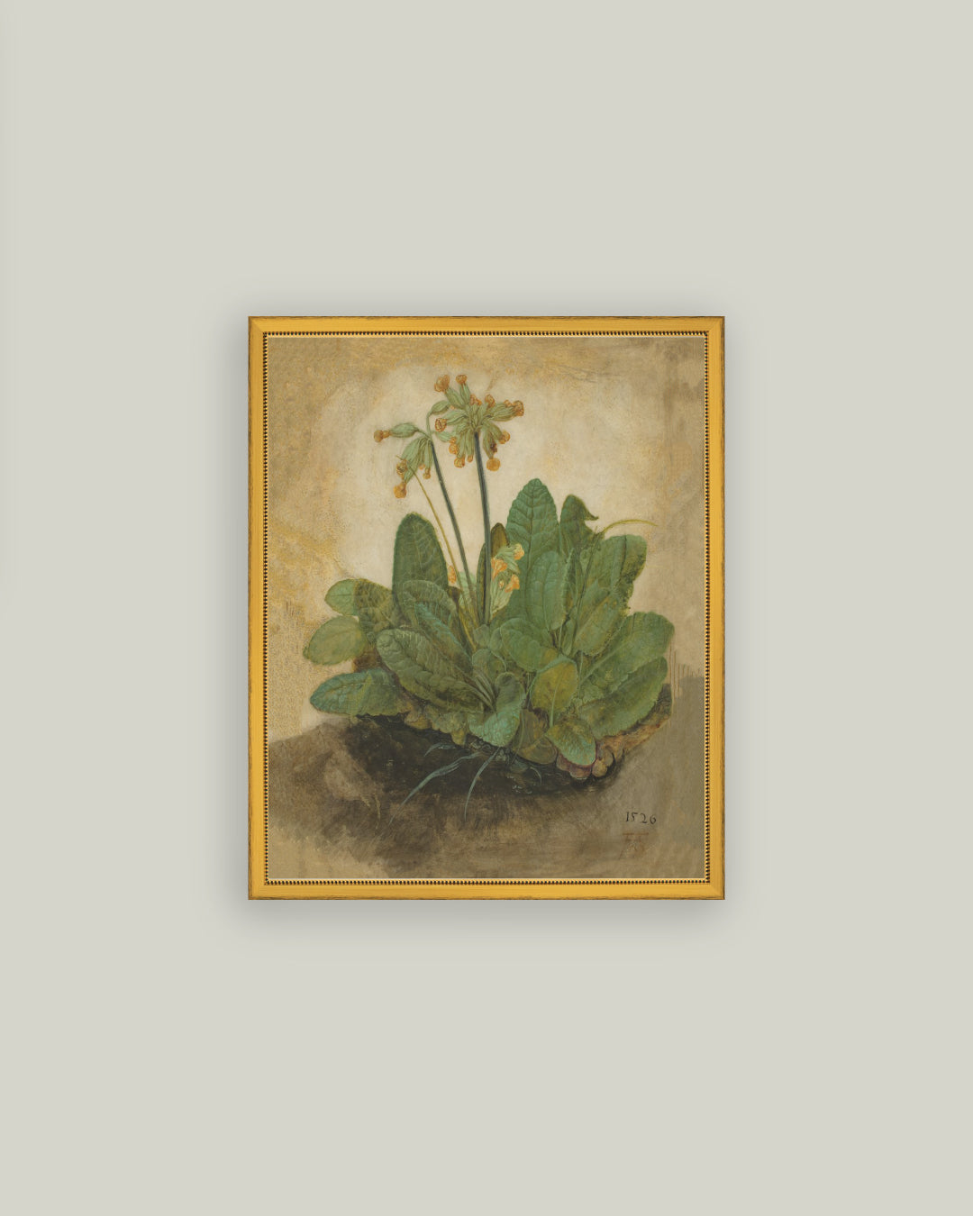 Tuft of Cowslips