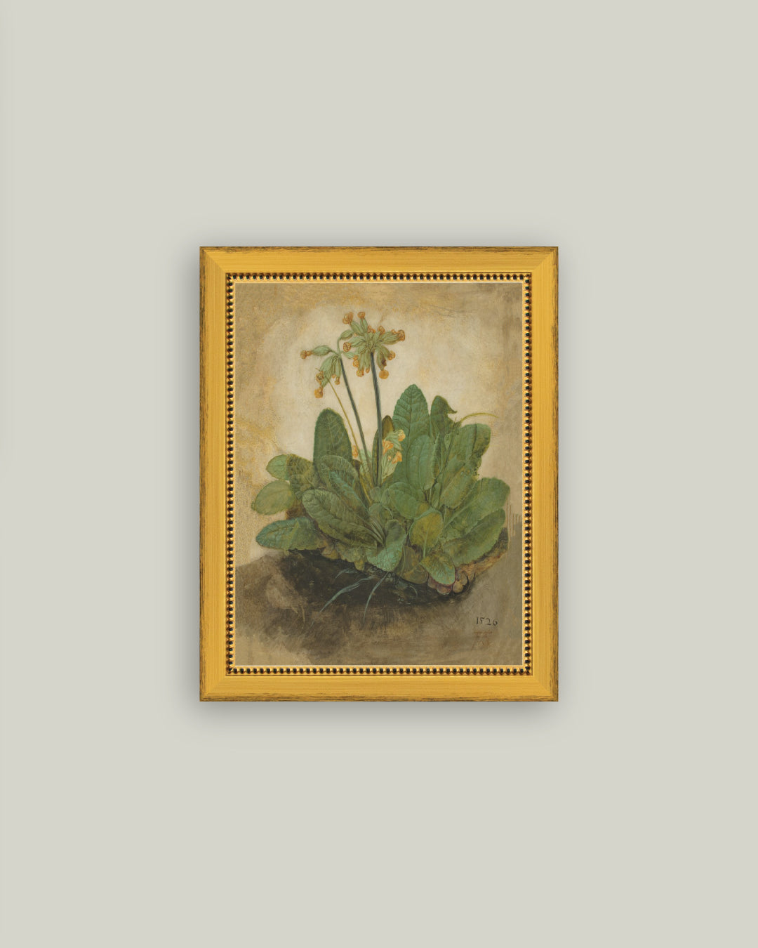 Tuft of Cowslips