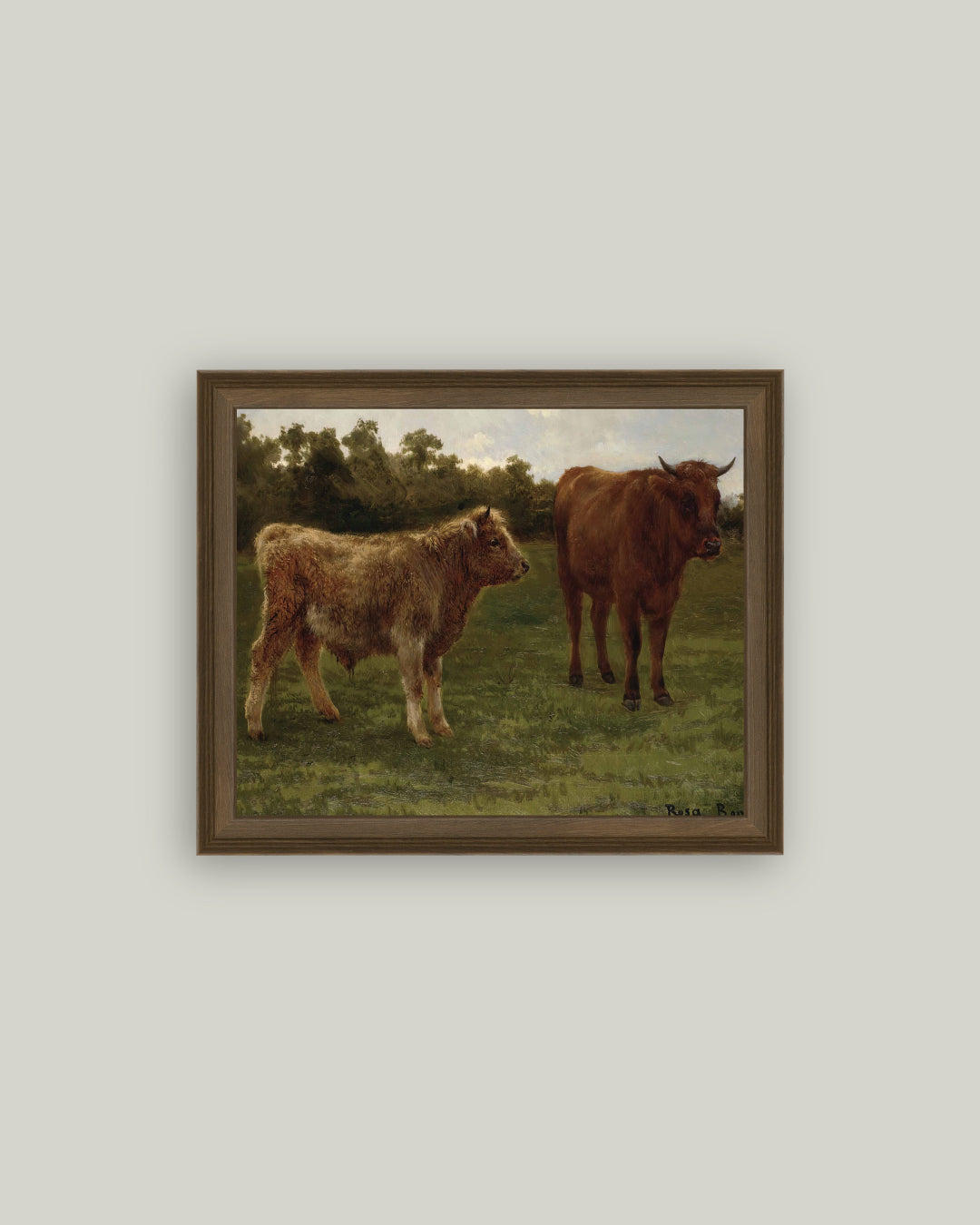 Two Cows Grazing