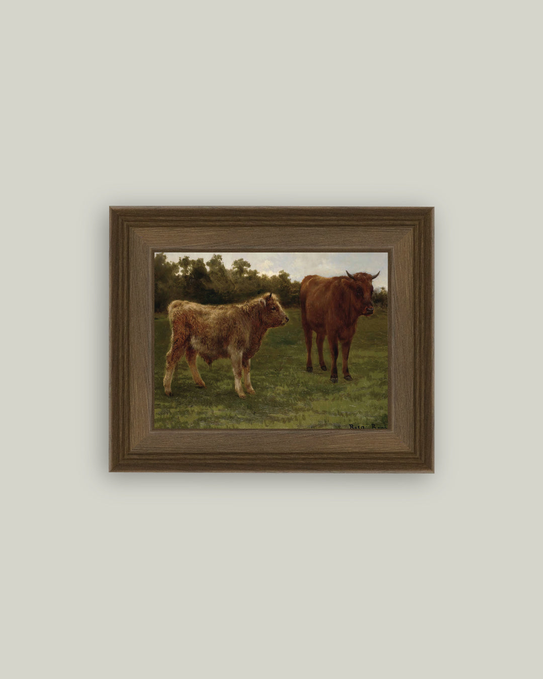 Two Cows Grazing