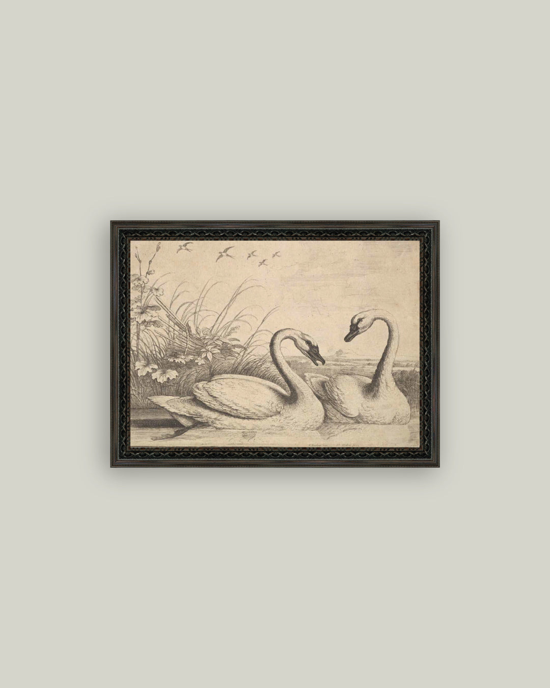 Two Swans