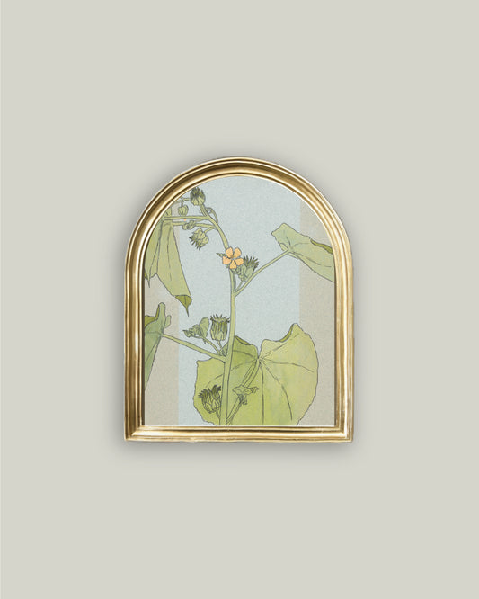 Velvet Weed Flower in Arched Frame