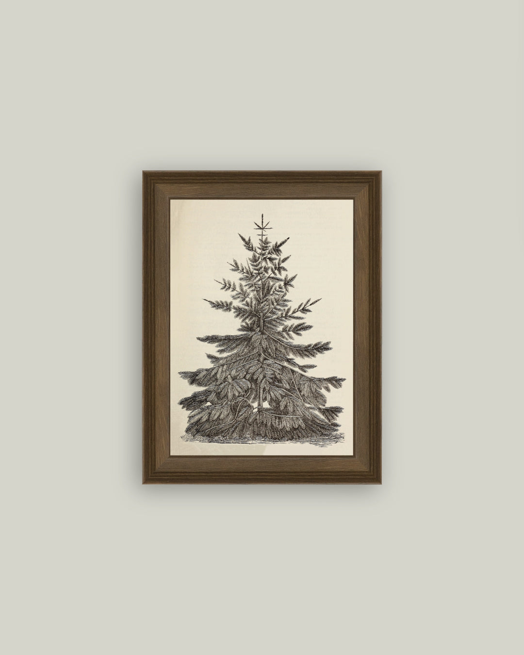 Vintage Pine Tree