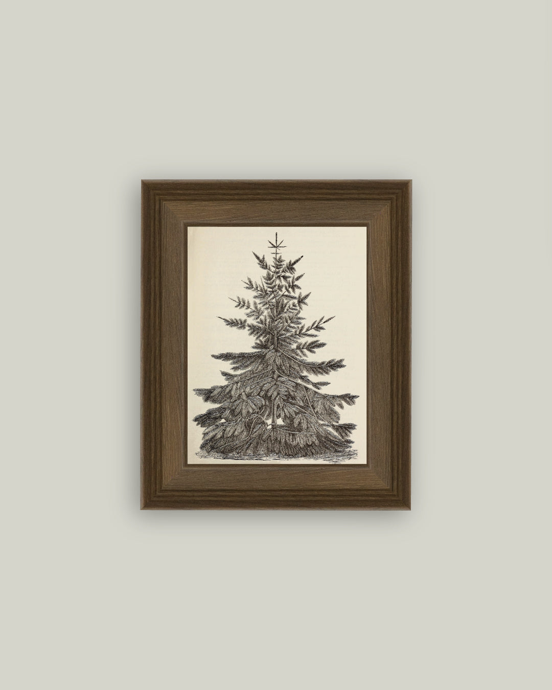 Vintage Pine Tree