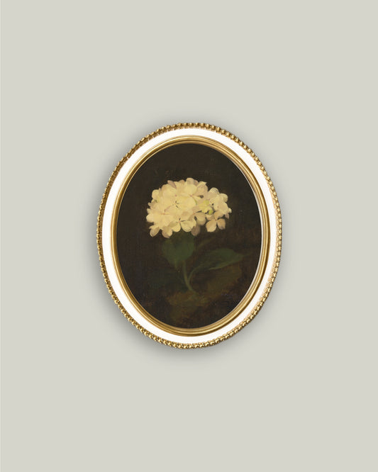 White Hydrangea in Cream Oval Frame
