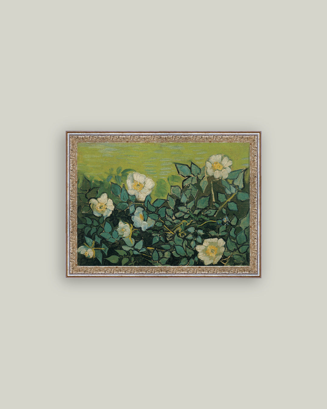 Wild Roses