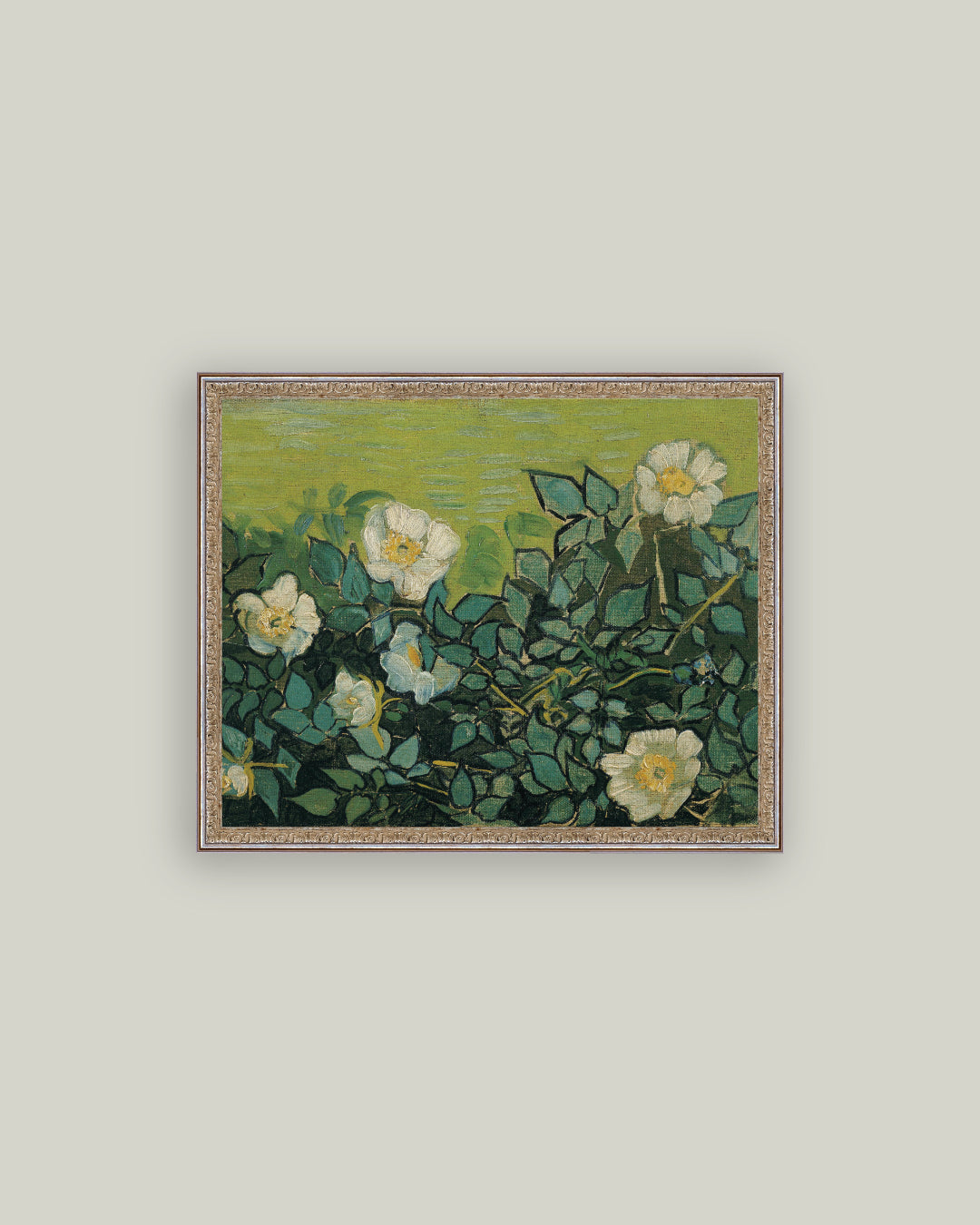 Wild Roses