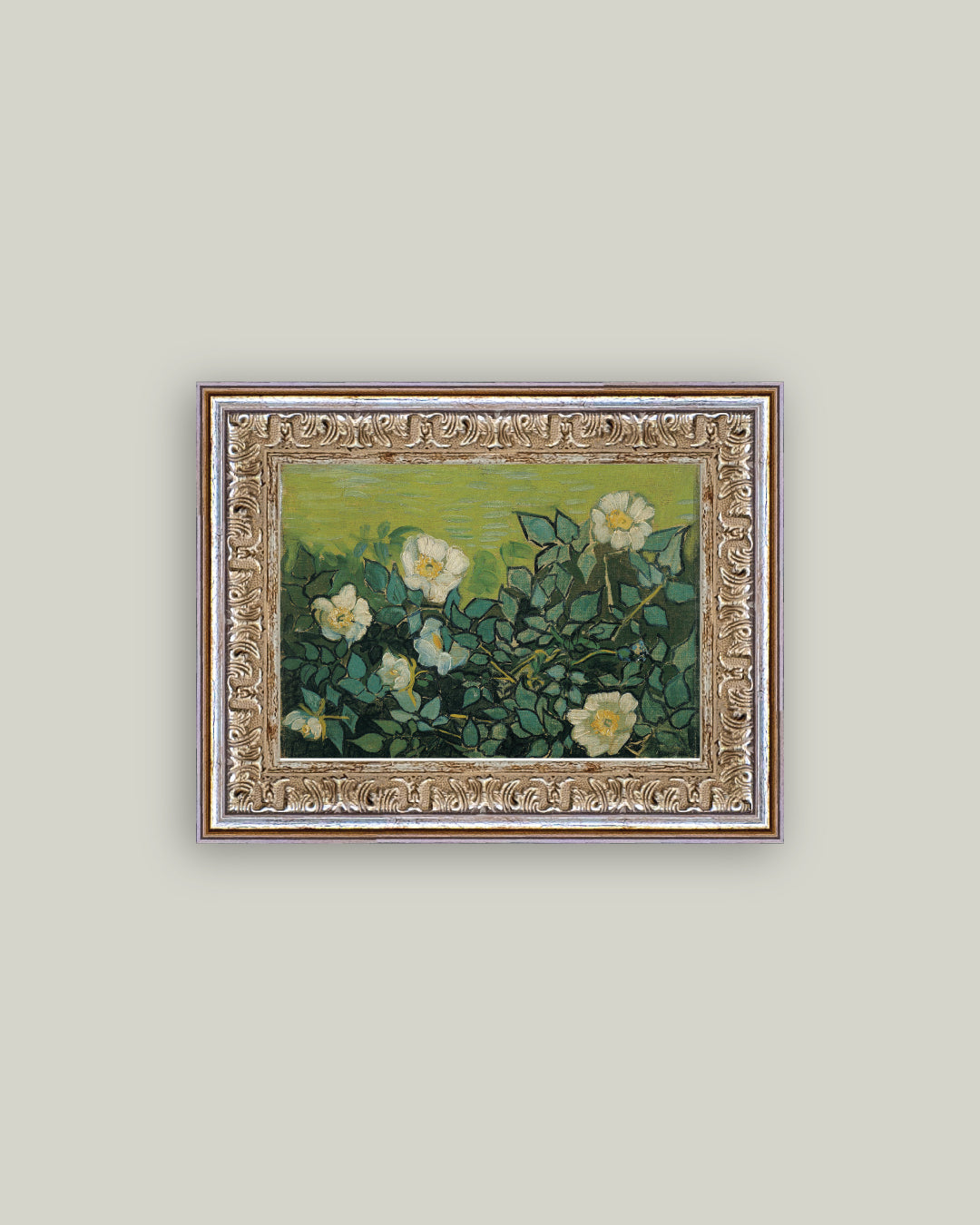 Wild Roses