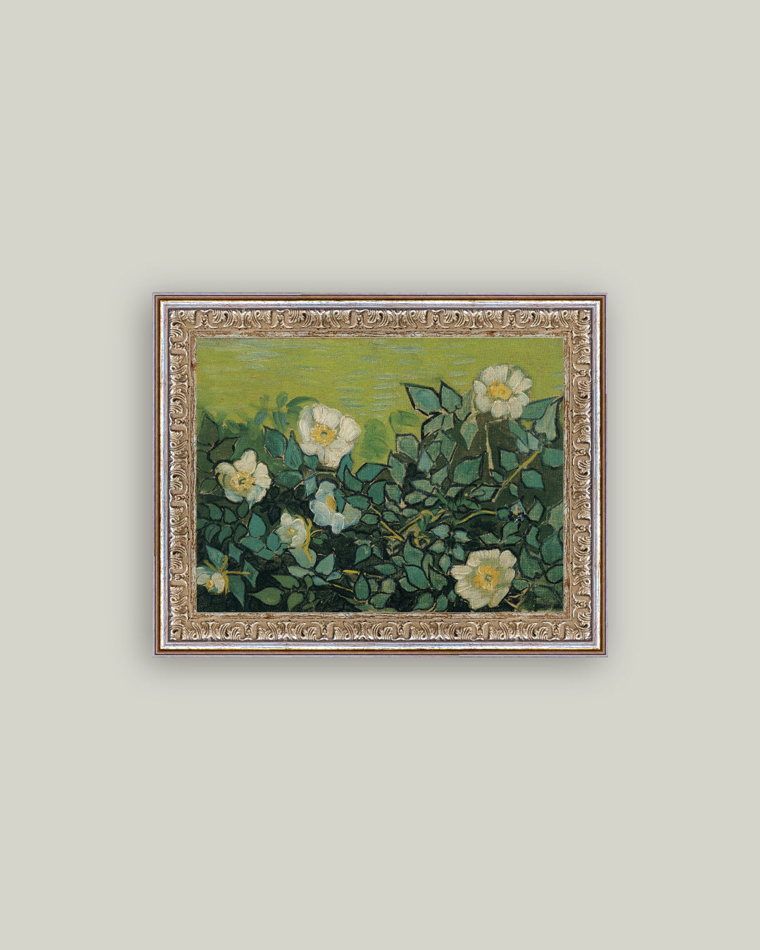 Wild Roses