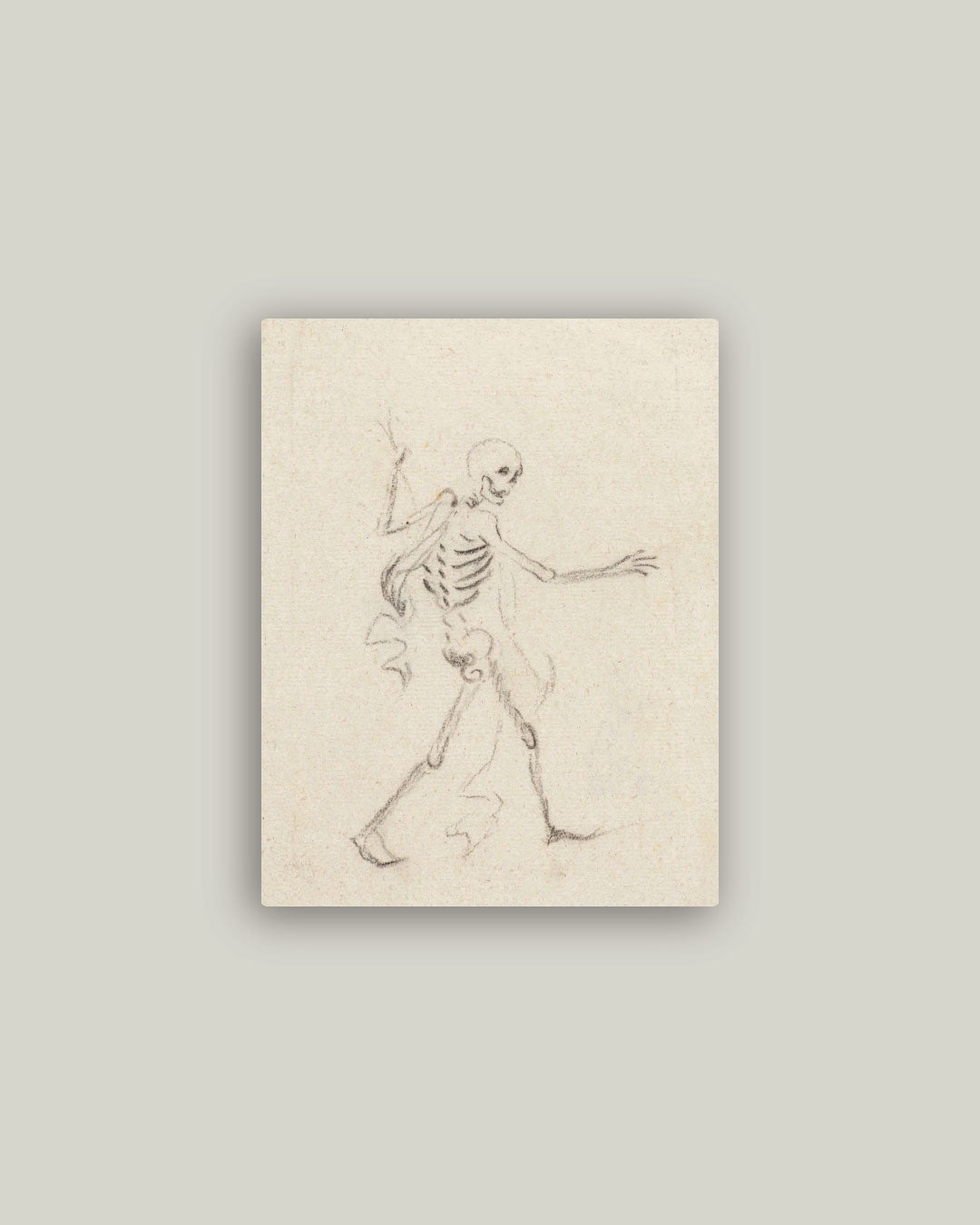 Walking Bones Artist Board