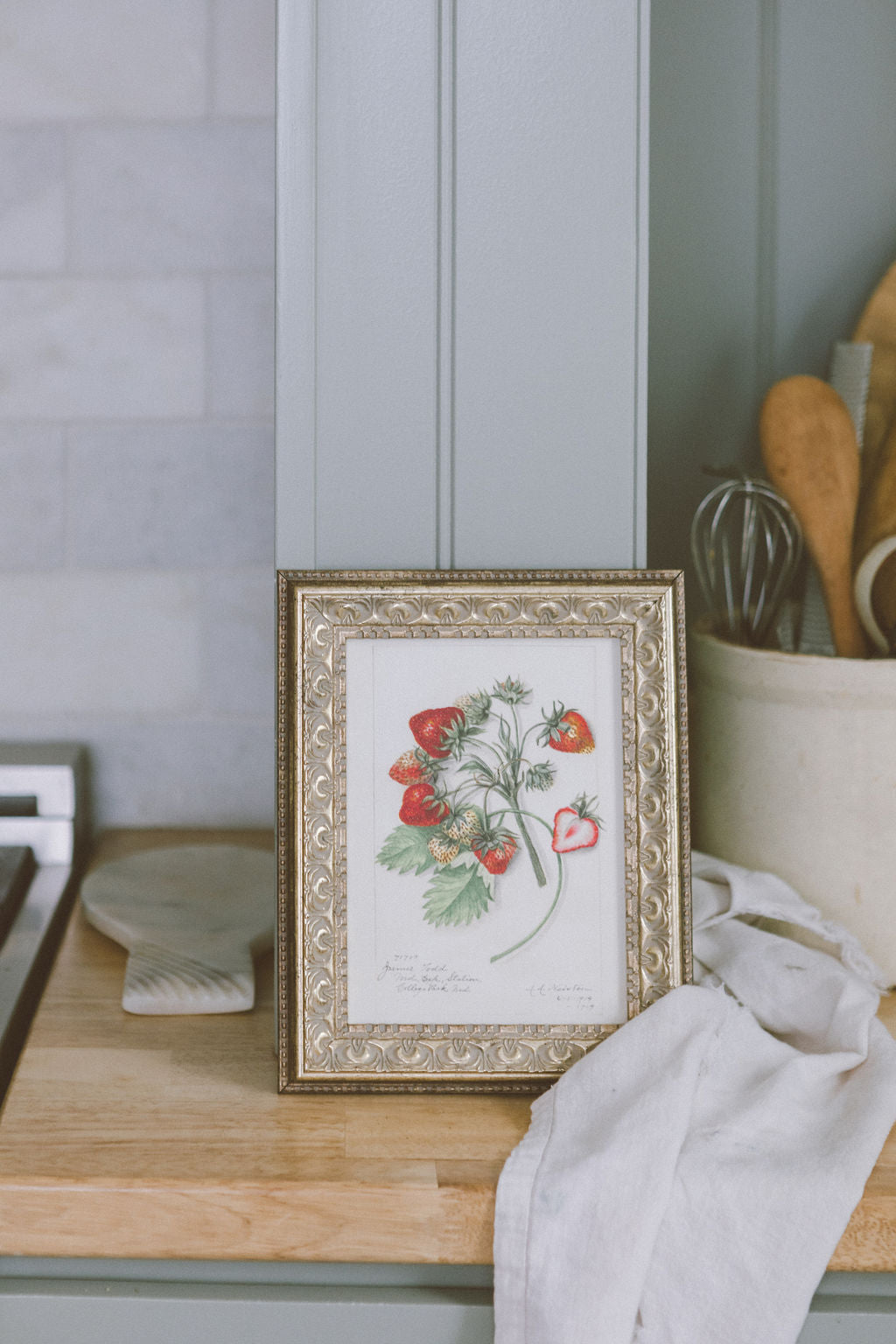 Study of Strawberries
