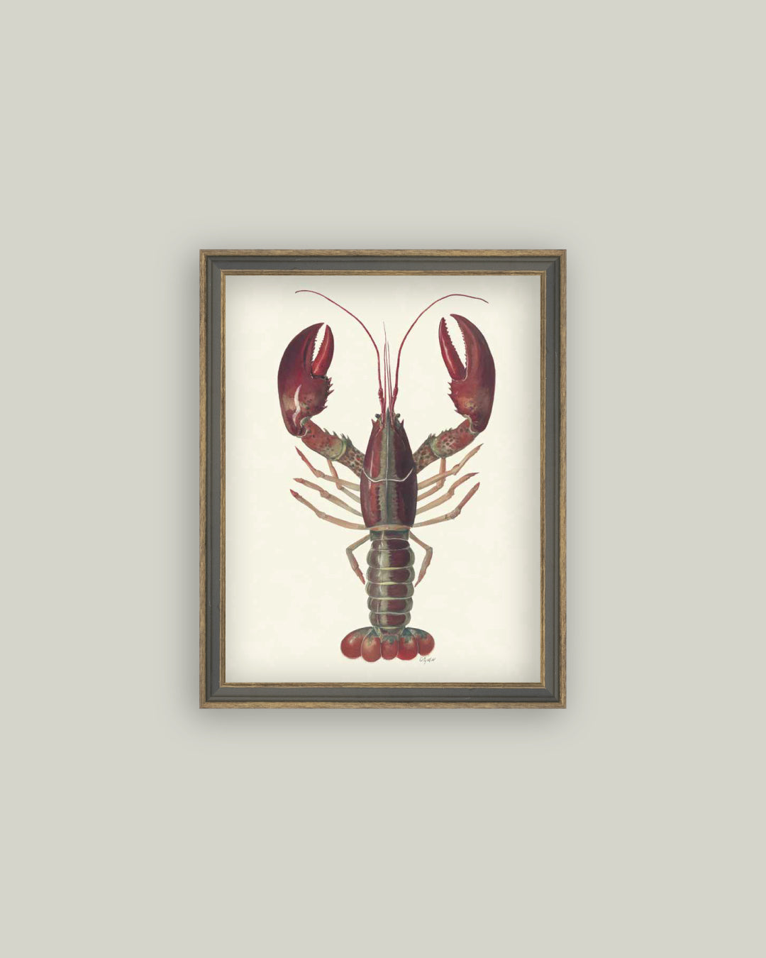 American Lobster