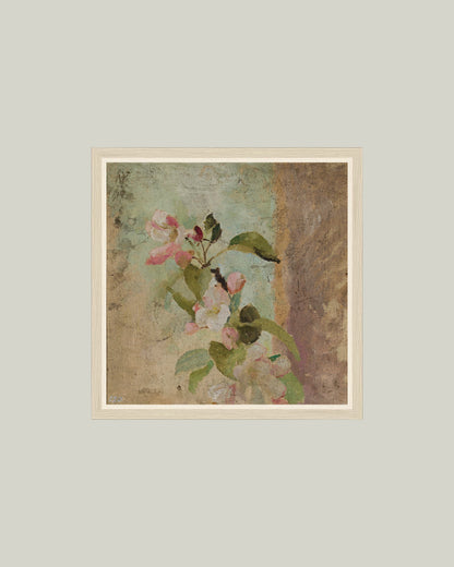 Apple Blossoms