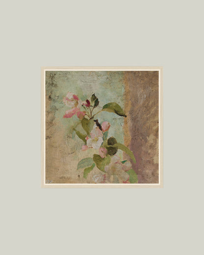 Apple Blossoms