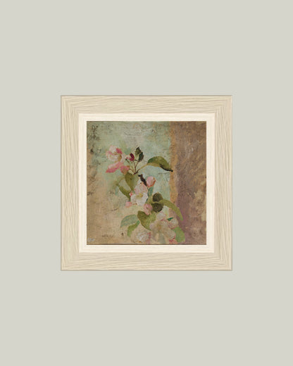 Apple Blossoms