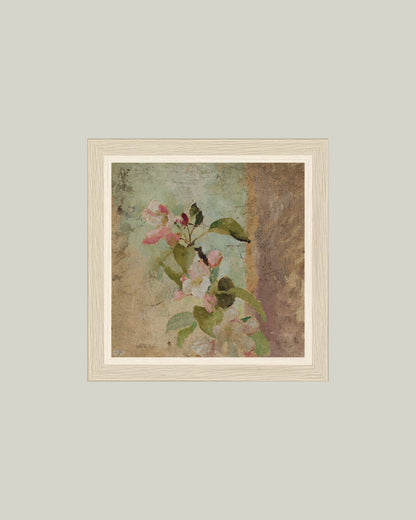 Apple Blossoms