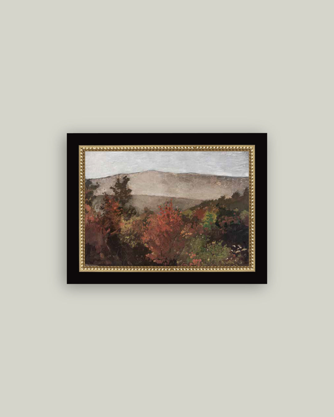 Autumn Tree Tops
