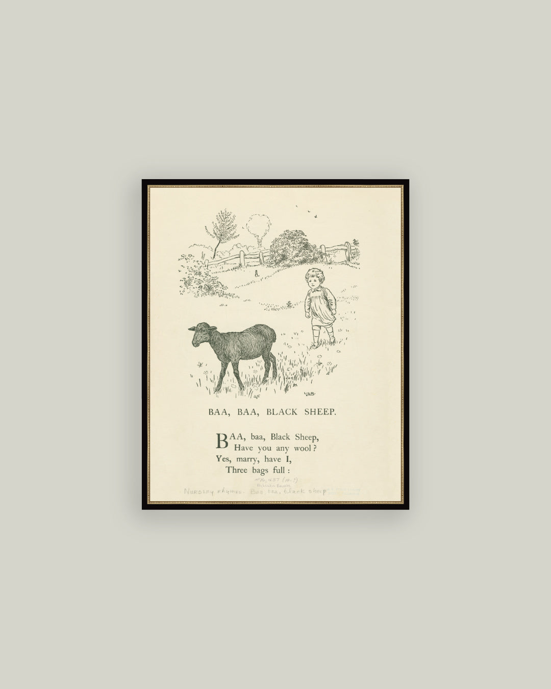 Baa Baa Black Sheep