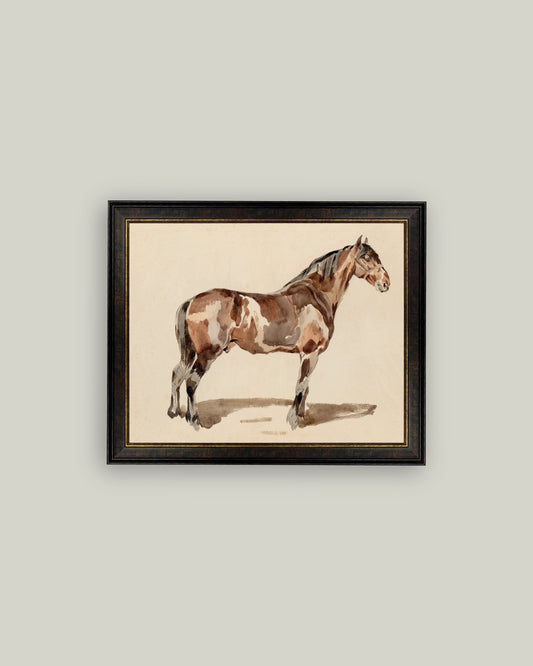 A Bay Horse