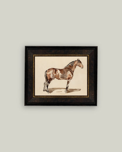A Bay Horse