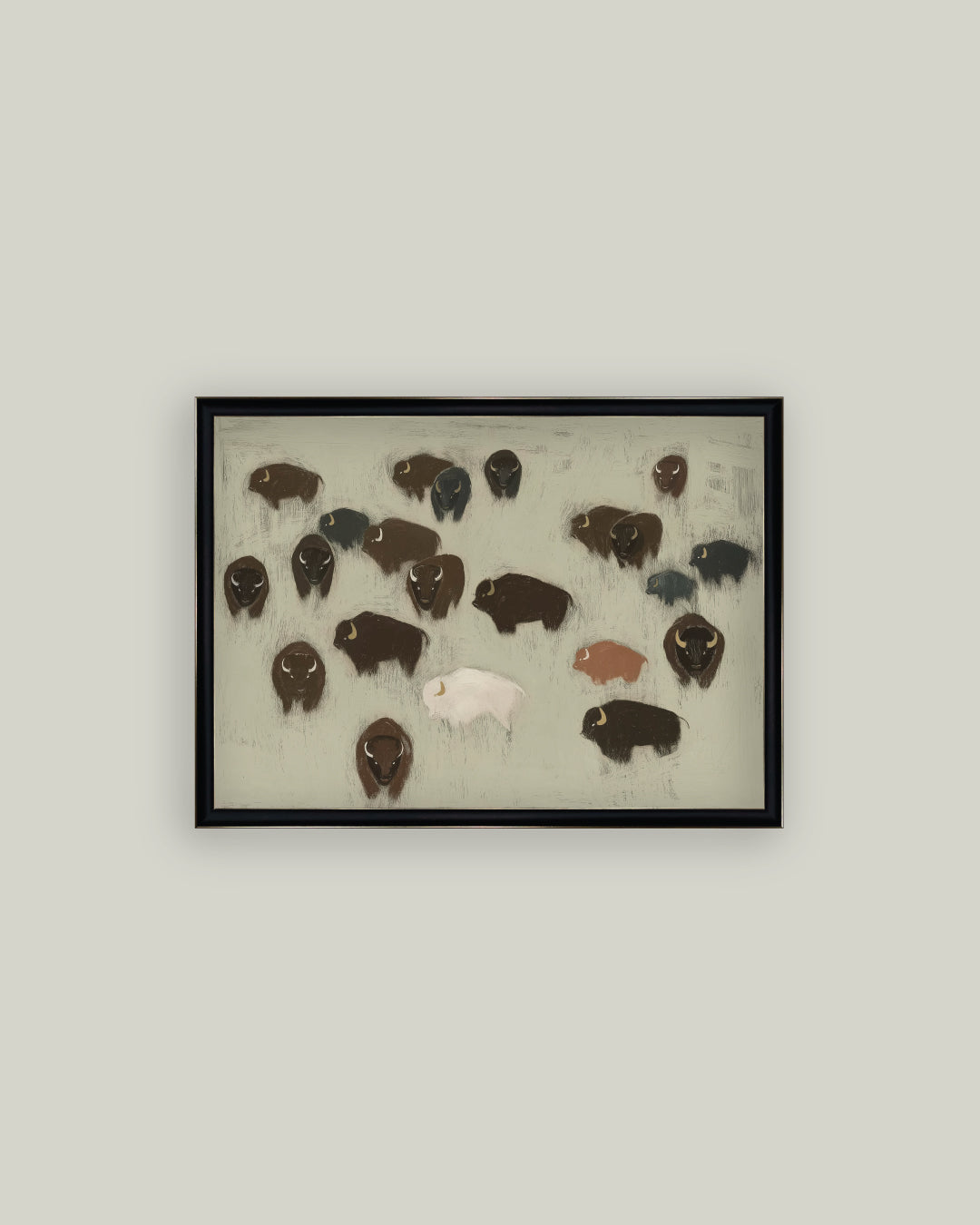 Bison Herd