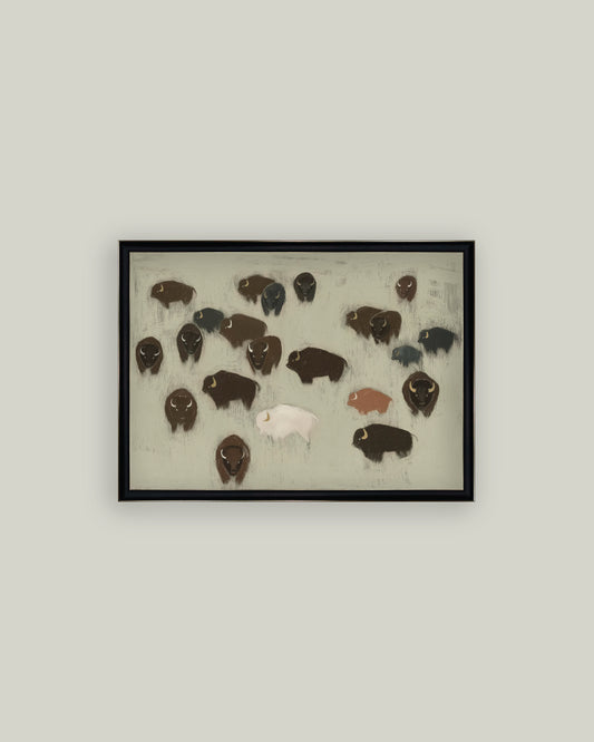 Bison Herd
