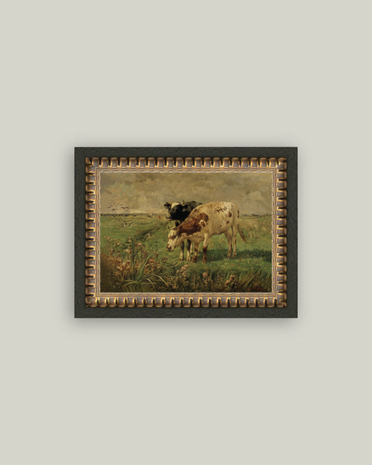 Black and Brown Cows