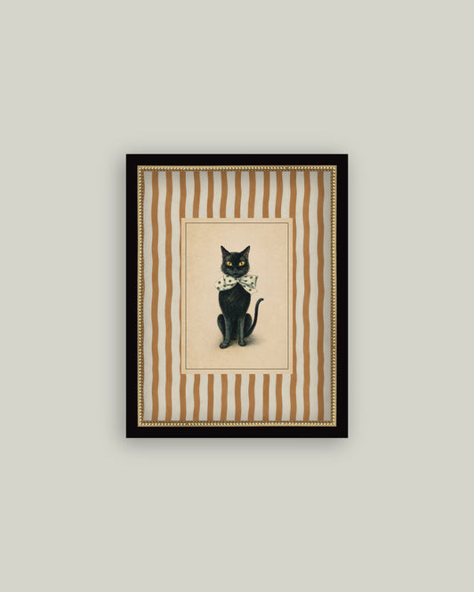 Black Cat on Stripes