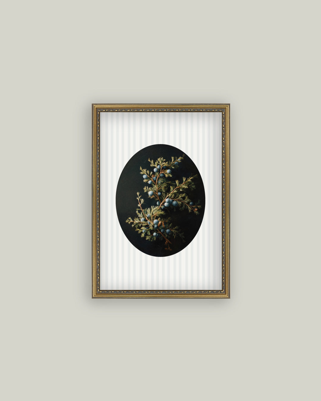 Blue Juniper Berries