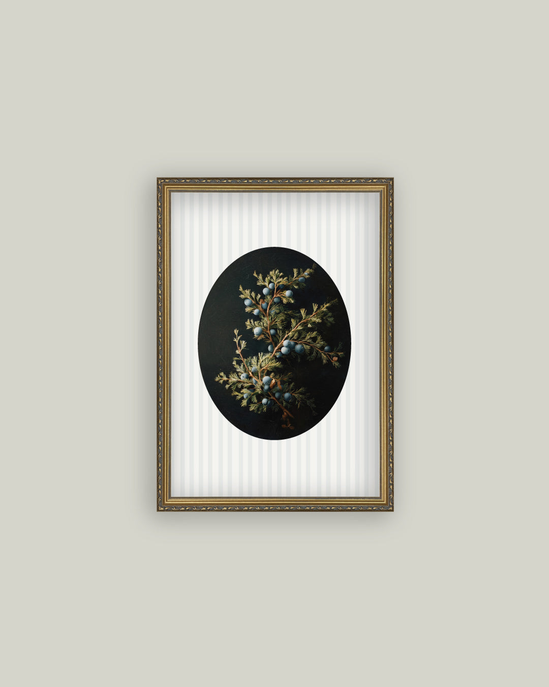 Blue Juniper Berries