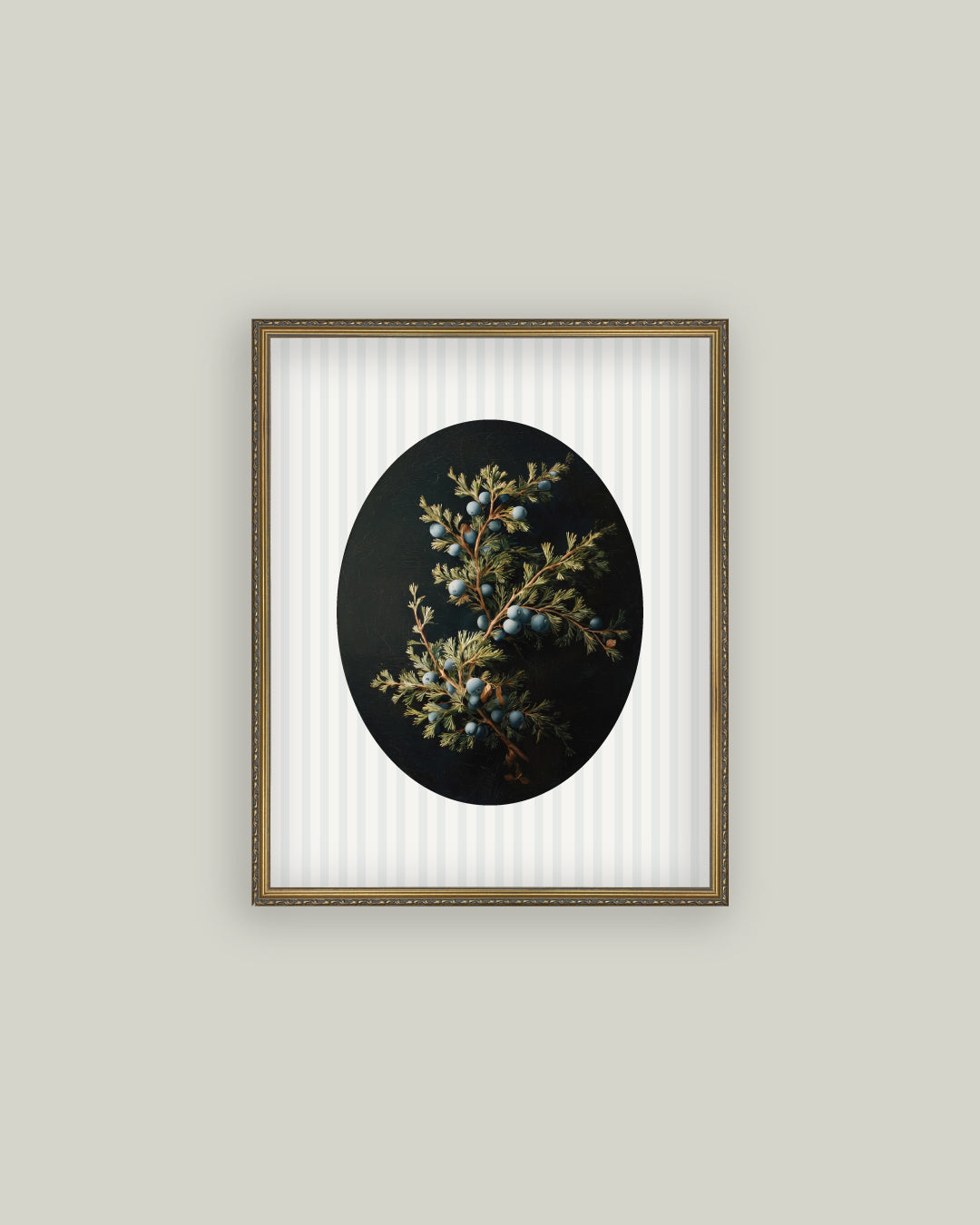 Blue Juniper Berries