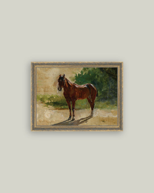 Brown Horse Study