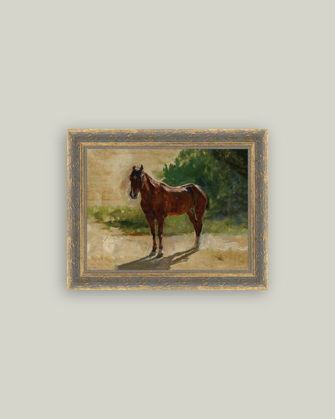Brown Horse Study