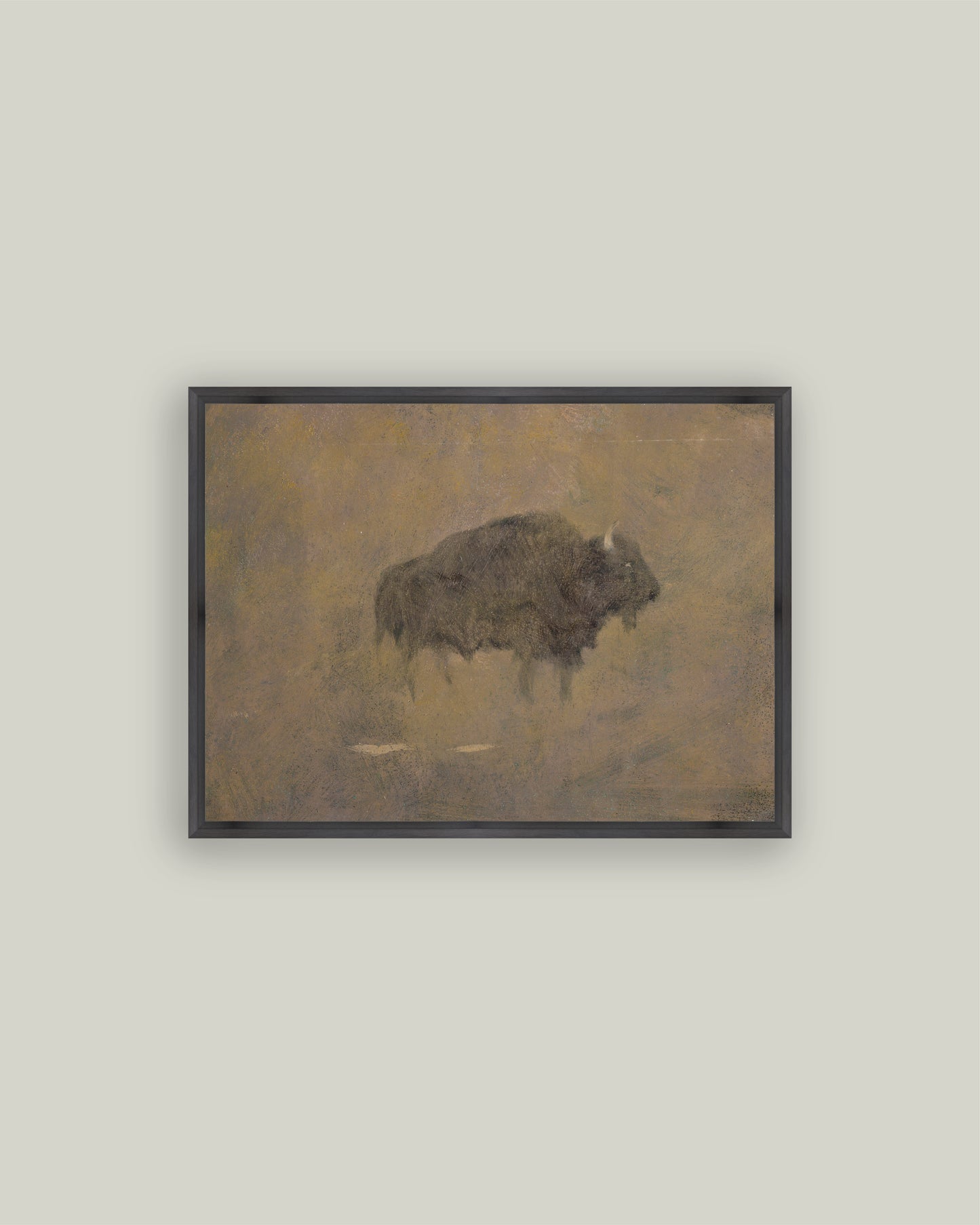 Buffalo in a Sandstorm