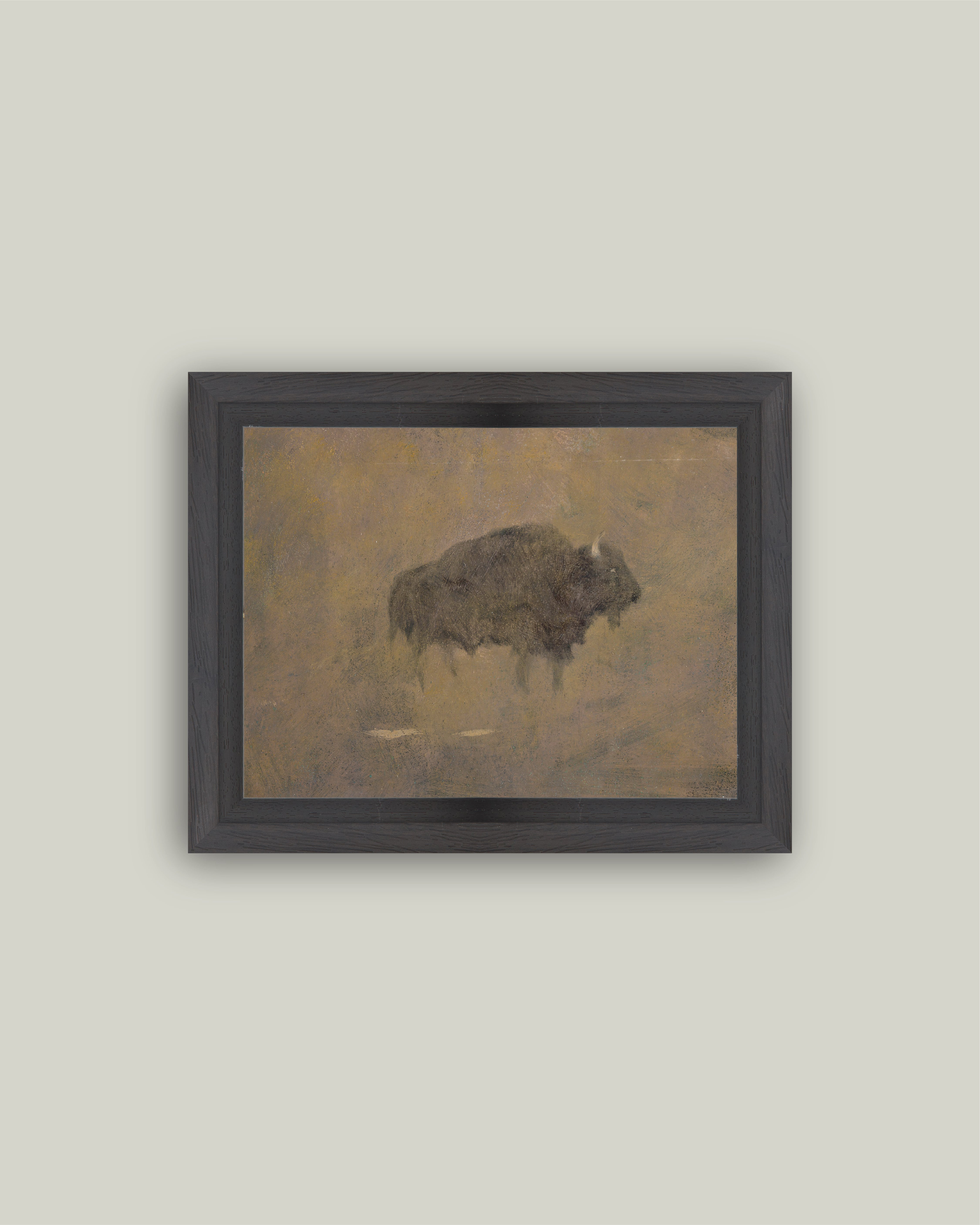 Buffalo in a Sandstorm – Petal Lane Home