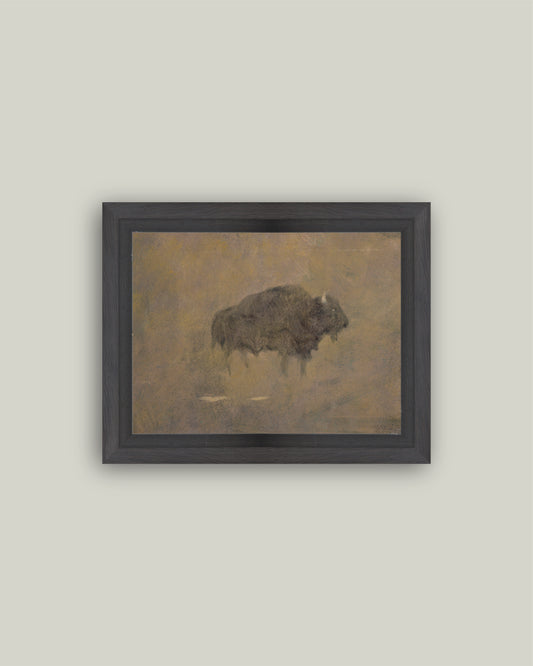 Buffalo in a Sandstorm