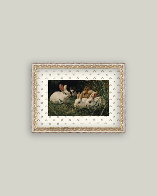 Bunnies in the Grass