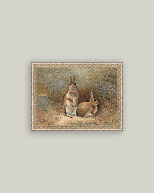 Bunnies