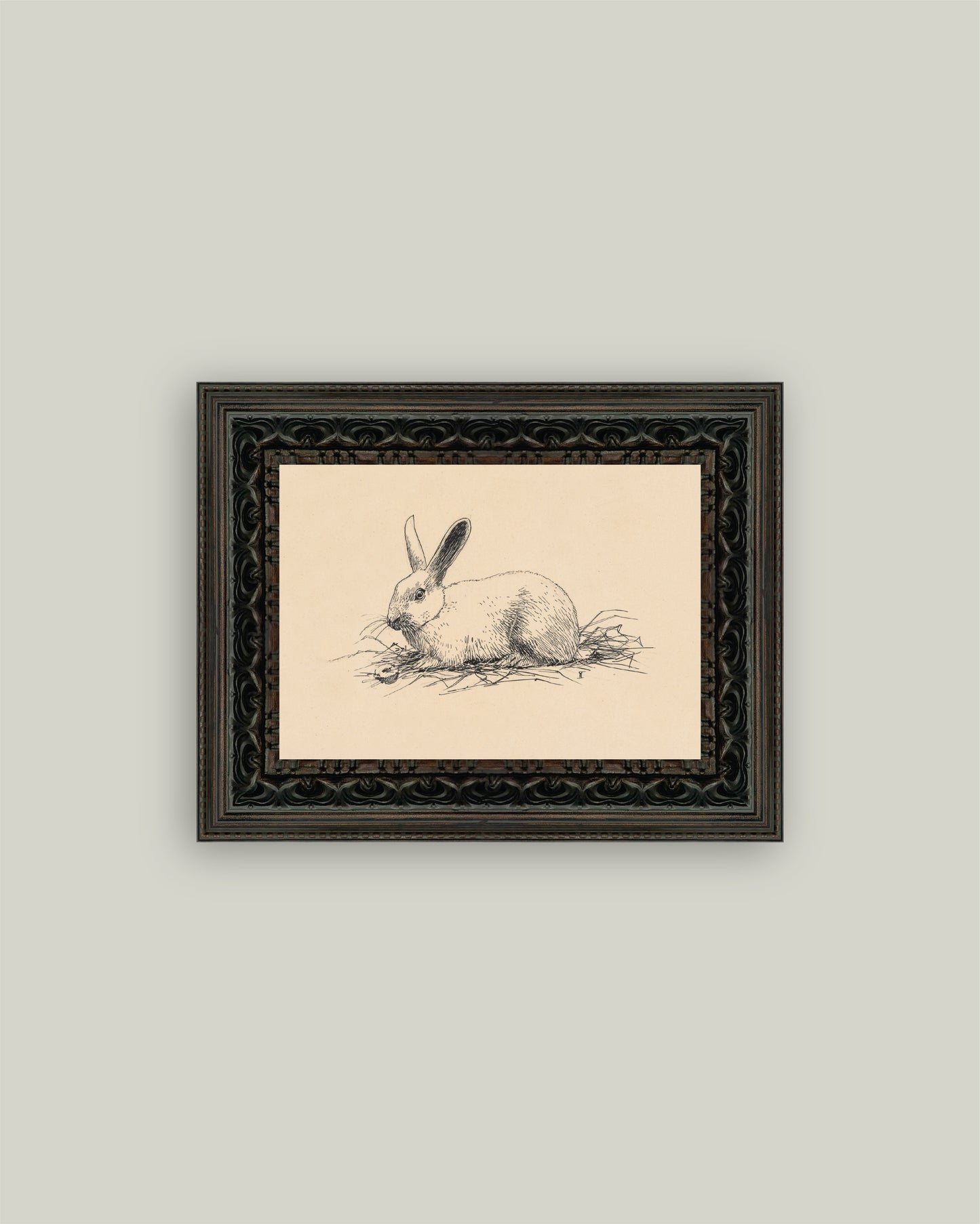 Bunny Sketch