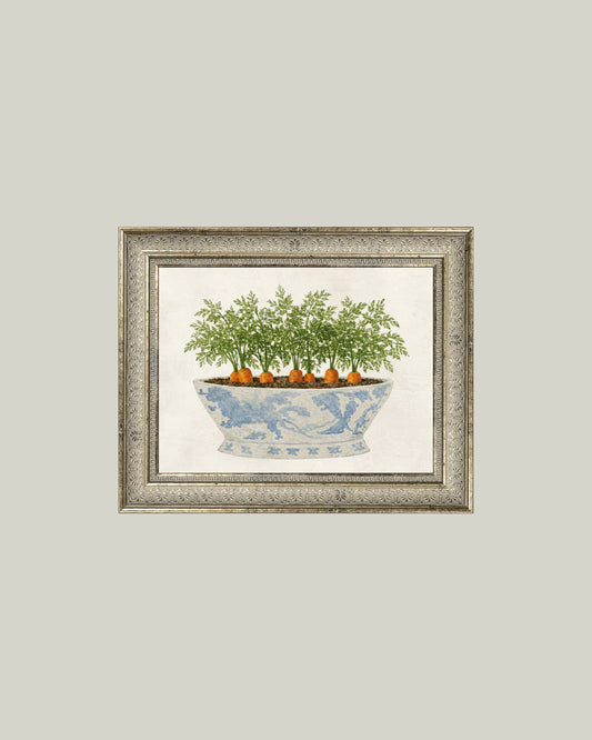 Carrots in Bowl