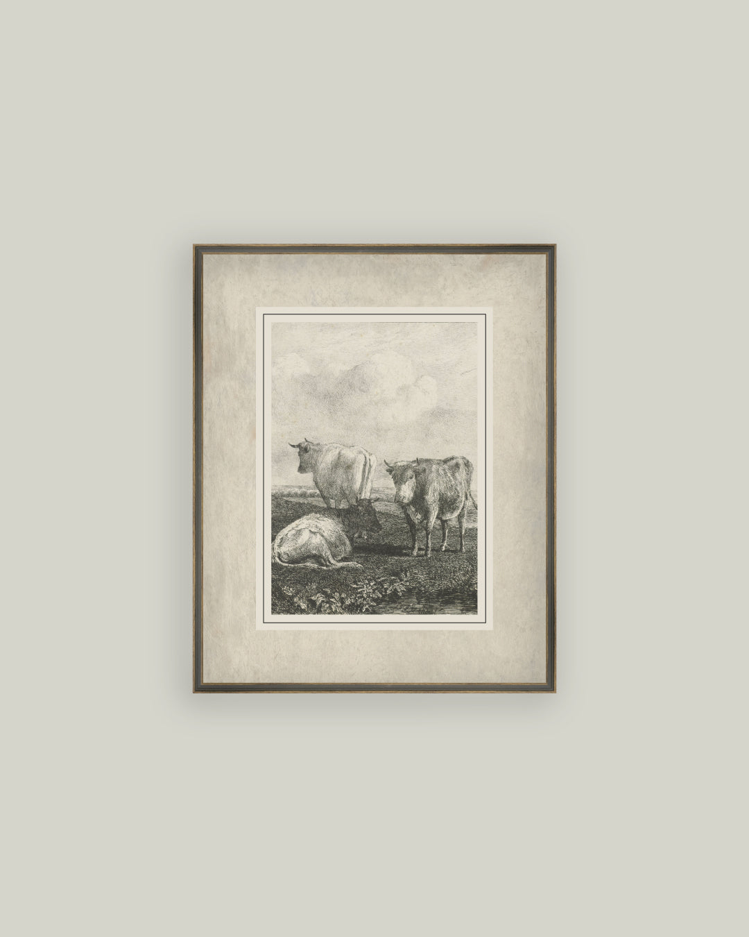 Cattle Sketch