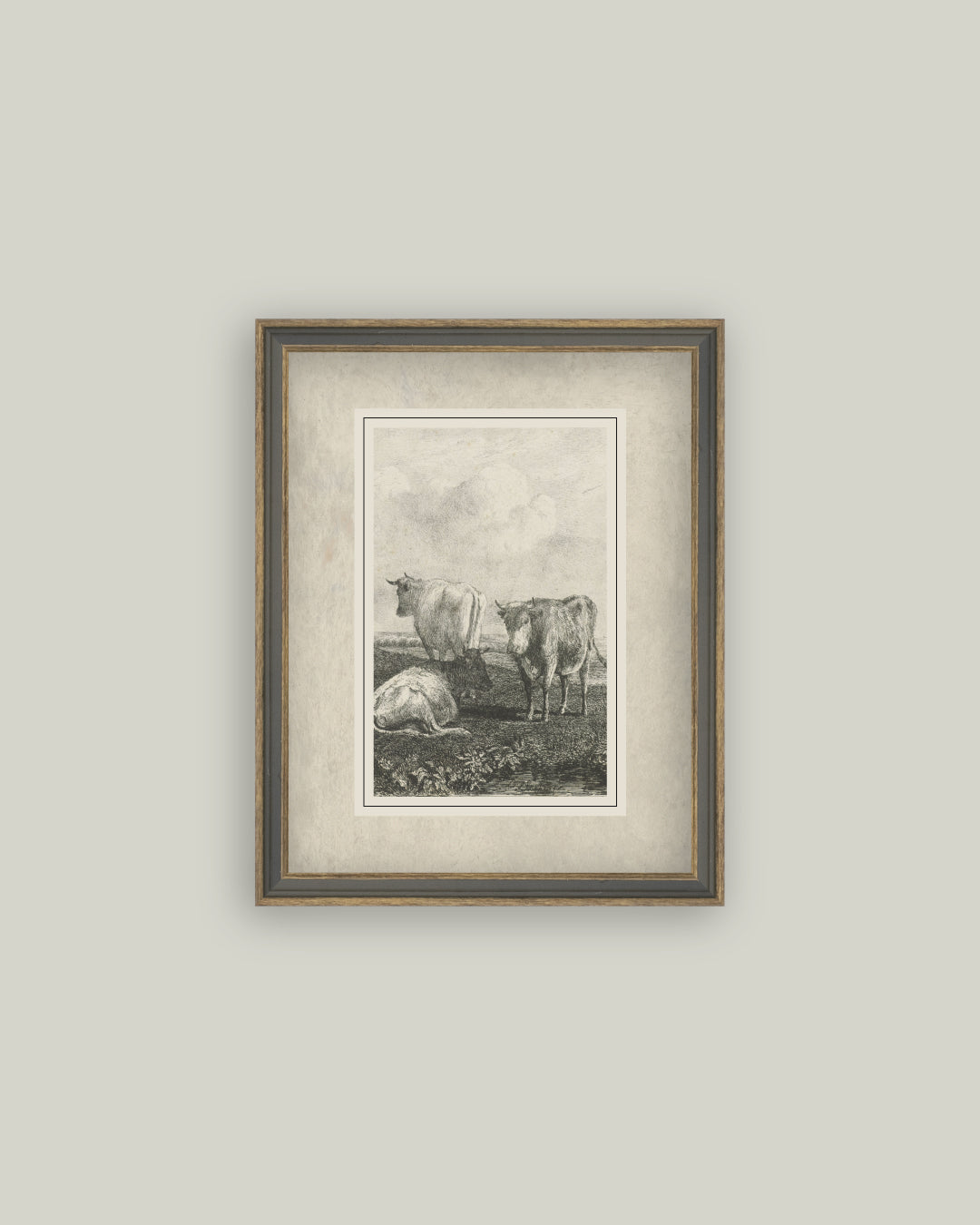 Cattle Sketch