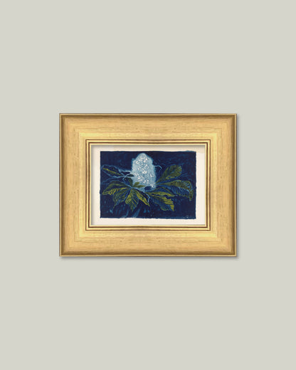 Chestnut Flower