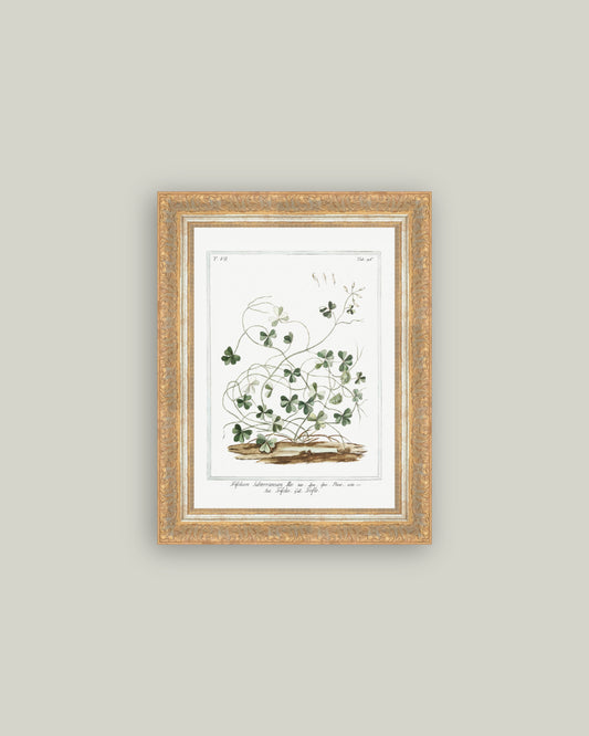 Vintage Clover Painting