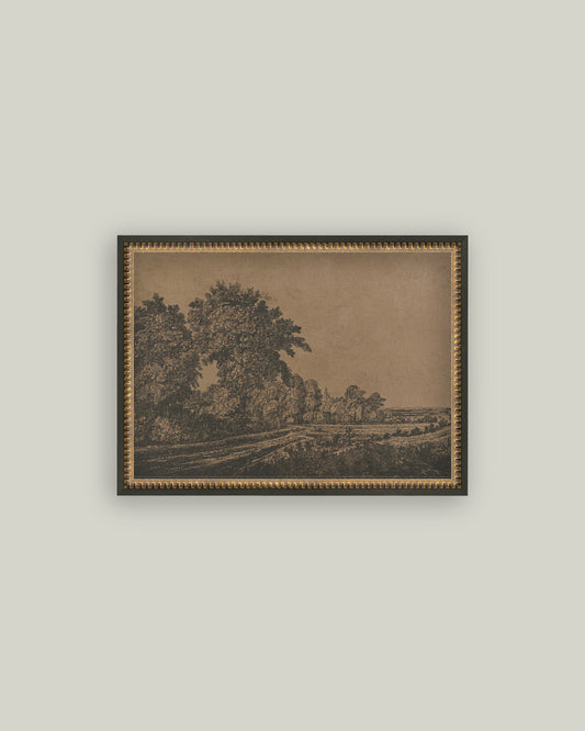 Corn Field Etching