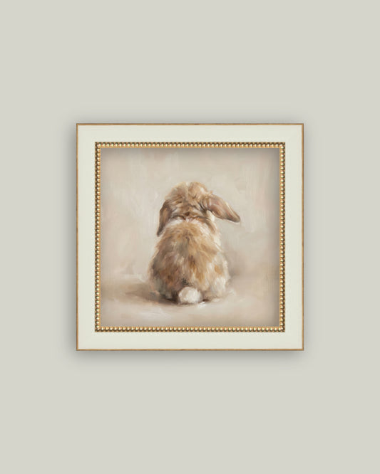 Cotton Tail