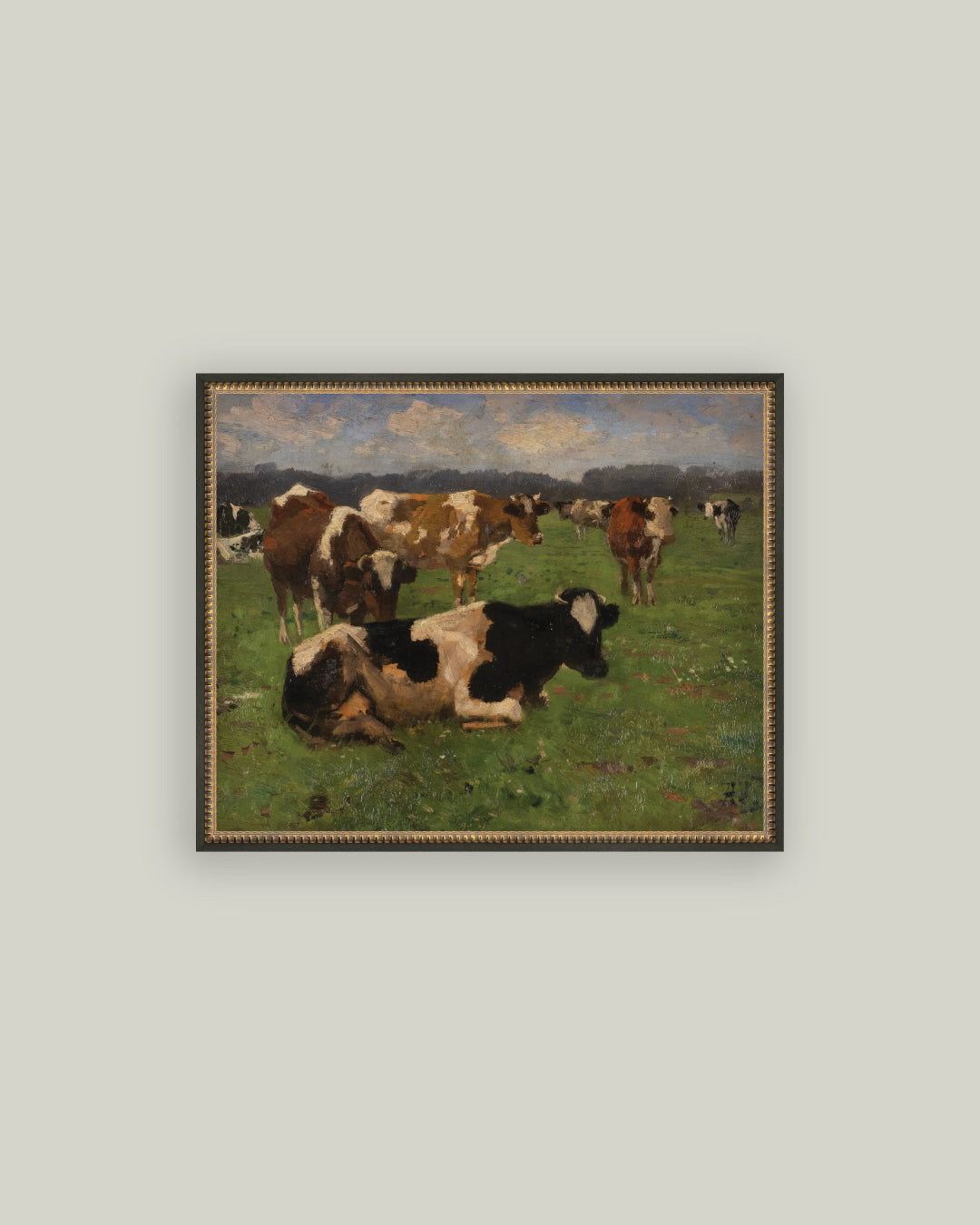 Cows On A Meadow
