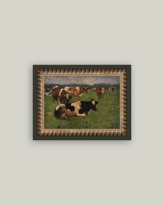 Cows On A Meadow